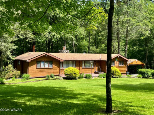 703 LOWER BODINES RD, TROUT RUN, PA 17771 - Image 1